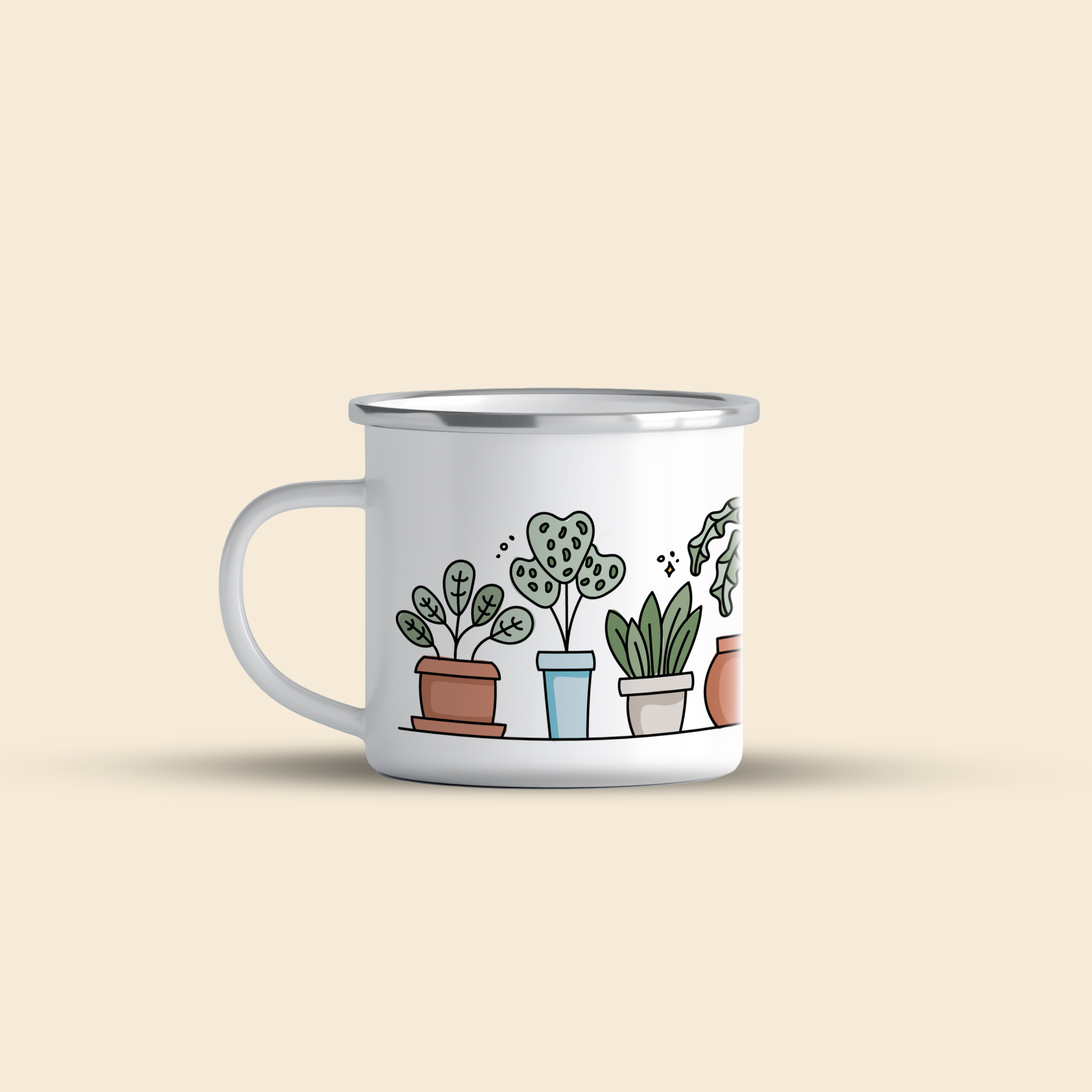 cana emailata ibrik houseplants 3